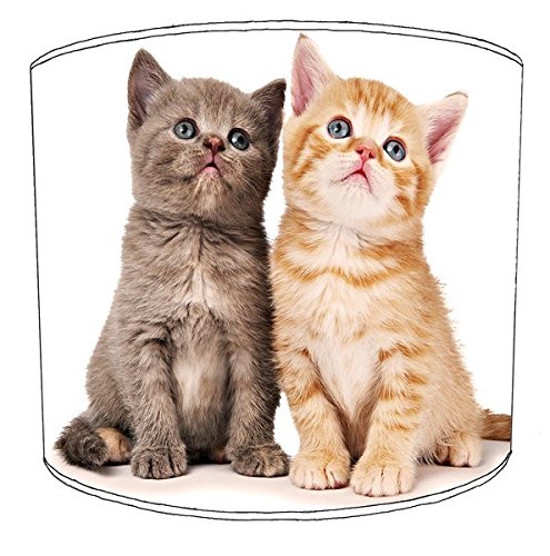 British Shorthair Cat Lampshade for A Ceiling Light in 3 Sizes - Free Personalisation