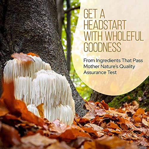 LRLA SUPERFOODS La Republica Super 7 USDA Organic Mushroom Powder (Lion's Mane, Chaga, Reishi, Cordyceps, Maitake, Shiitake, Turkey Tail, Mushroom Supplement, Vegan, No fillers (3 oz) - Image 6