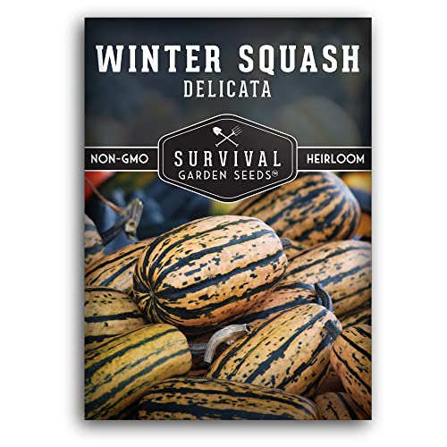 Delicata Winter Squash Seeds for Planting - Heirloom Non GMO Vegetable Seed - Easy to Grow, High...