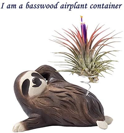 FattyBee Sloth Gift Handmade Wooden Sloth Holder Planters for Air Plant Home Office Bathroom Decoration