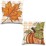 Photo Gallery lxontsg autunnali federe cuscini, 2 pezzi lino autunnali federe, decorativi zucca federa autunnale, federa per cuscino autunno, cuscino federe zucche, foglie d acero federa autunno (a) Photo Gallery lxontsg autunnali federe cuscini, 2 pezzi lino autunnali federe, decorativi zucca federa autunnale, federa per cuscino autunno, cuscino federe zucche, foglie d acero federa autunno (a)