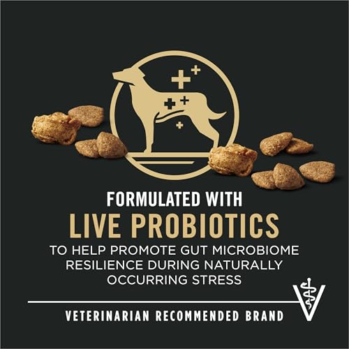 Image of Purina Pro Plan Complete Essentials Shredded Blend Turkey and Rice Dog Food Dry Formula with Probiotics for Dogs - 15 lb. Bag
