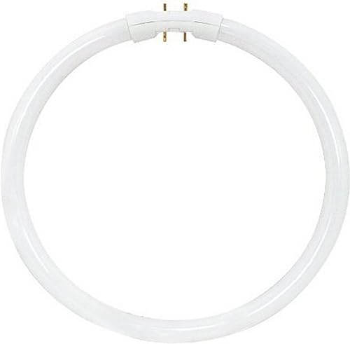 Satco S8157 4100K 22-Watt 2GX13 T5 Circline Lámpara de alto rendimiento, blanco frío