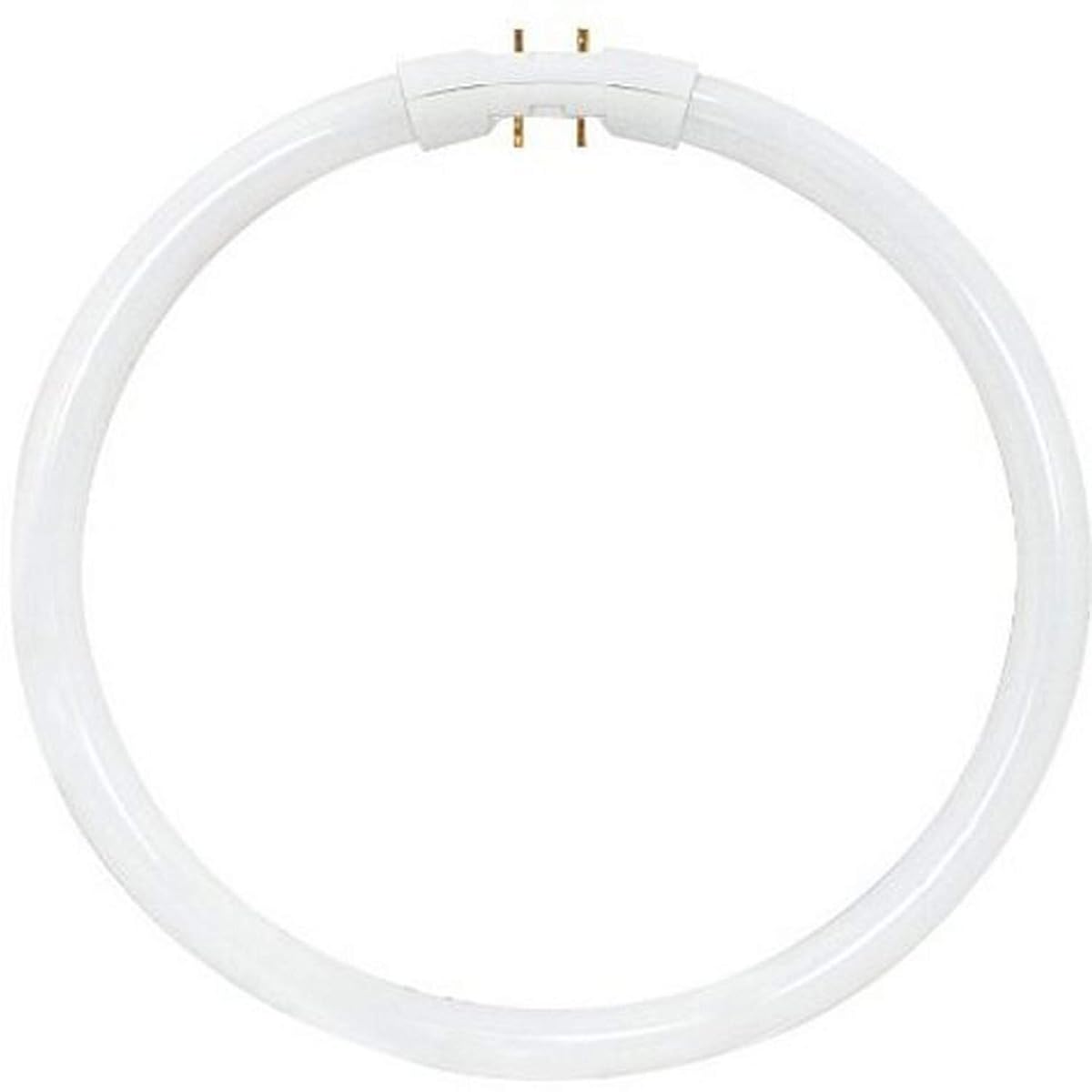 Satco 22-Watt 2GX13 T5 Circline Lamp, Cool White, Model S8157, Glass