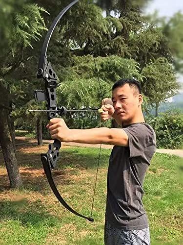 Monleap Archery 51" Takedown Recurve Bow And Arrows Set For Adults Metal Riser Longbow Kit Right Hand Straight Bow For Beginner Hunting Shooting Practice 30 40 50Lb (Silver 40Lb) #TOP5