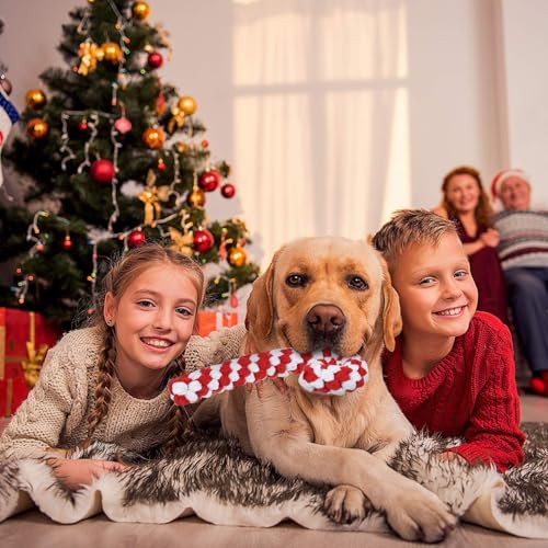 AHYDFSR Hunde Kauspielzeug, 3 Stück Hundespielzeug Zuckerstange Weihnachten Geschenk, Weihnachts Zuckerstange Seil, Interaktives Hunde Spielseil für Zahnreinigung