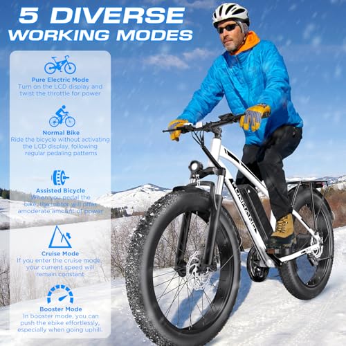 Electric Bike for Adults, 1000W Peak Ebike, 25MPH 60Miles