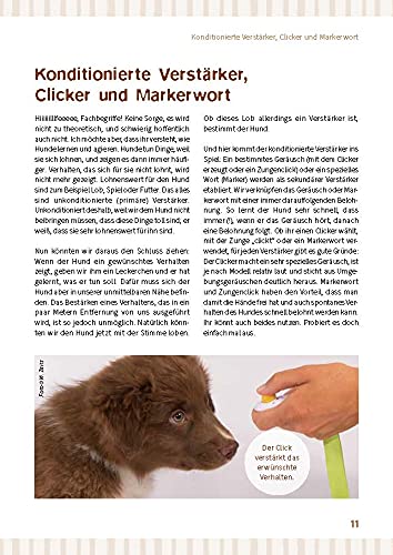 Die große Trickkiste für Hunde: Pfiffige Beschäftigung für drinnen und draußen