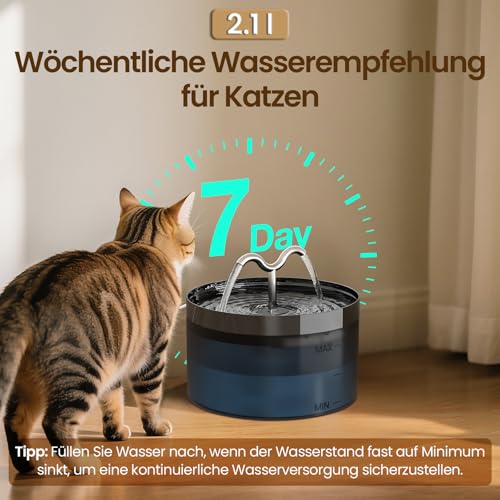 DOOOB Katzentrinkbrunnen, 2,1L Katzen Trinkbrunnen, Katzenbrunnen mit Ultra-Leiser Pumpe, Automatischer Trinkbrunnen für Katze und Kleine Hunde, Inkl. 3 Filter & 3Schwämme