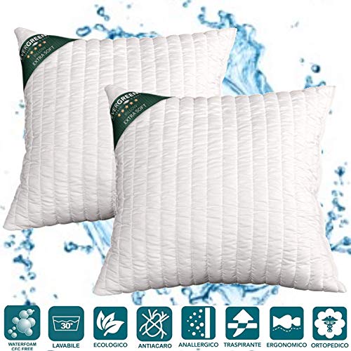 EvergreenWeb - Oreillers Lot de 2, 60X60 Oreiller Ferme, Coussin, Enveloppe Doux, Garnissage Super Doux, Anti-Transpiration, Orthopédiques, Excellent pour Ceux Qui souffrent de douleurs au Cou