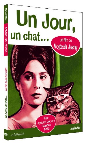 Amazon Com Un Jour Un Chat Movies Tv