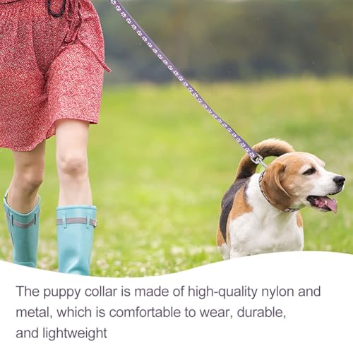 Hundehalsband und Leine Set für Kleine Hunde, Bequem Verstellbar, Welpenhalsband, Lila