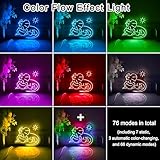 Zoom IMG-1 ancfun scatola luminosa a led Zoom IMG-1 ancfun scatola luminosa a led