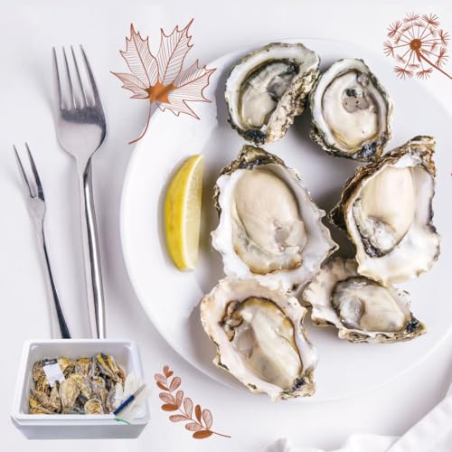 「秋の4産地食べ比べセット」生食用 殻付き 真牡蛎 4産地 12個+牡蠣ナイフセット (軍手・説明書付) 全国に28店舗のオイスターバーを展開するゼネラル・オイスターグループ 特許取得済 海洋深層水で浄化された安心・安全な生ガキ かき ギフト プレゼント