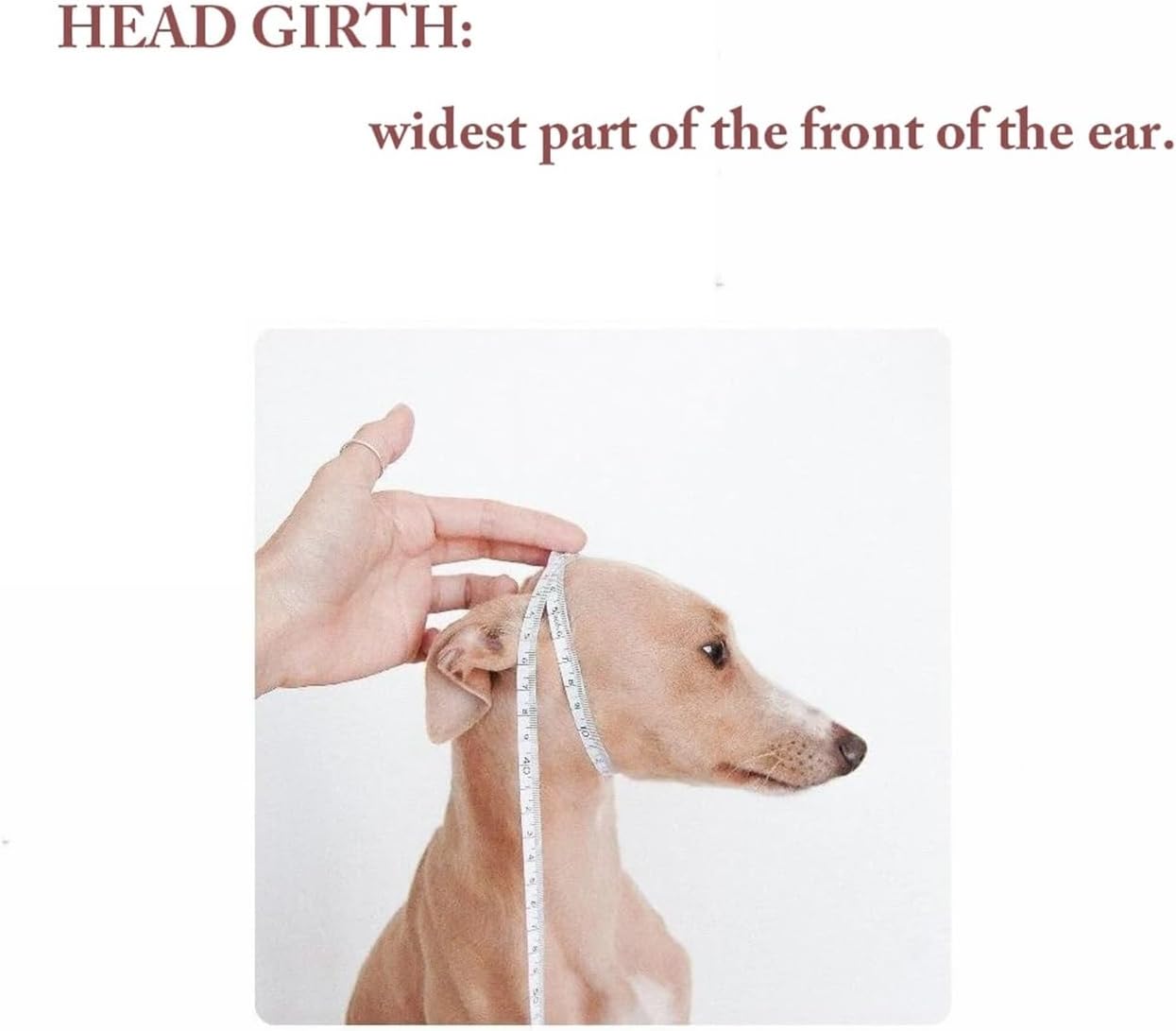 Dog Hat Compatible with Greyhounds Whippets Cute Handmade Woolen Knitted Italian Greyhounds Clothing Whippet Winter Pet Item Spandex Material Beige S Head 20-30cm