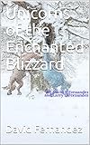 unicorns of the enchanted blizzard (lady of the woods book 4) (english edition)