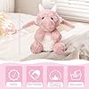 EOUOBOMO Cute Flying Dragon Plush,Soft Dinosaur Stuffed Animals Pillow,Kawaii Fire Dragon Animal Plushies Toy,Great Easter Birthday Present for Adults and Kids,7.88",Pink #1