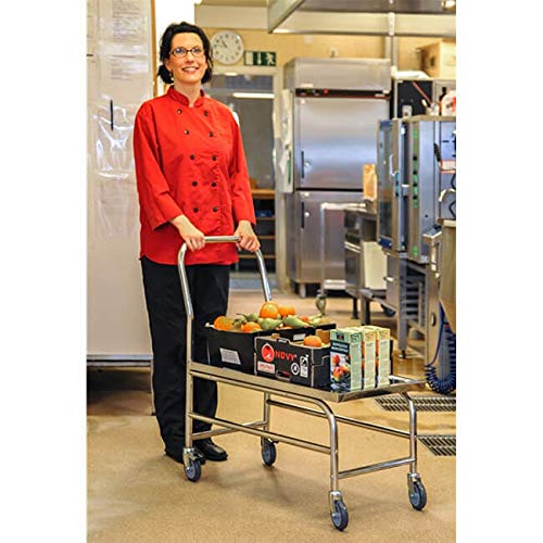 Edelstahl-Plattformwagen LxBxH 880 x 500 x 940 mm, Traglast: 100 kg, C2
