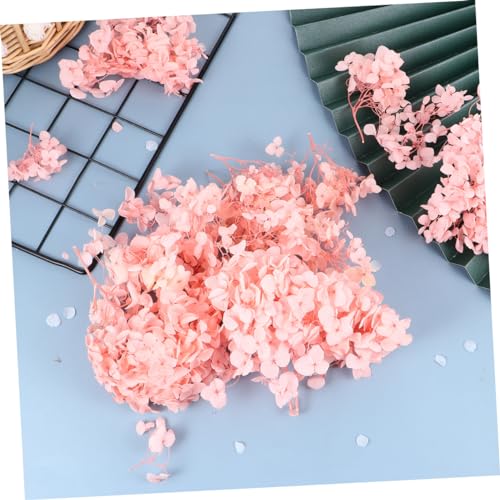 Wakauto pétalos secos naturales rosas de hortensia miniatura 3