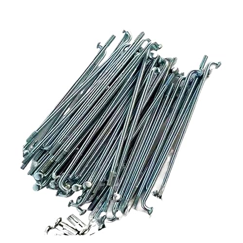 Rayons de moto électrique 10G avec écrous pour roue arrière de motocyclette