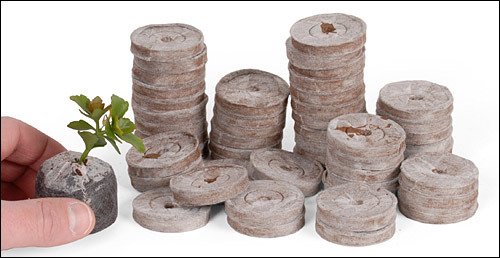 BIO BLOOMS AGRO INDIA PRIVATE LIMITED Plastic Reusable & Extra Strength Starting Netted Coir Coins for Gardening Seedling Tray, Multicolour, 4x4x1 cm - Pack of 10 (B071DMDXVX) Amazon Price History, Amazon Price Tracker