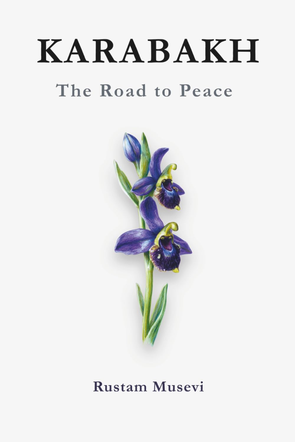Karabakh: the Road to Peace: A History of Conflict Between Armenia and Azerbaijan