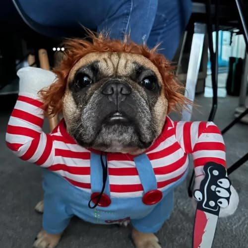 Fantasia cachorro do Chucky (GG)