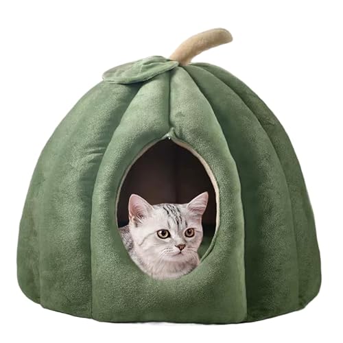 Lxbh ybgxbh L nEX h[^ LbgnEX ^p ~p ӂӂ _炩 ۉh NbVt ^ Lp p 􂦂  Vv  