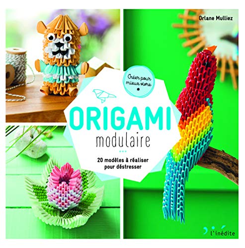 Origami modulaire : 20 modèles à réaliser pour déstresser (Créer pour mieux vivre)