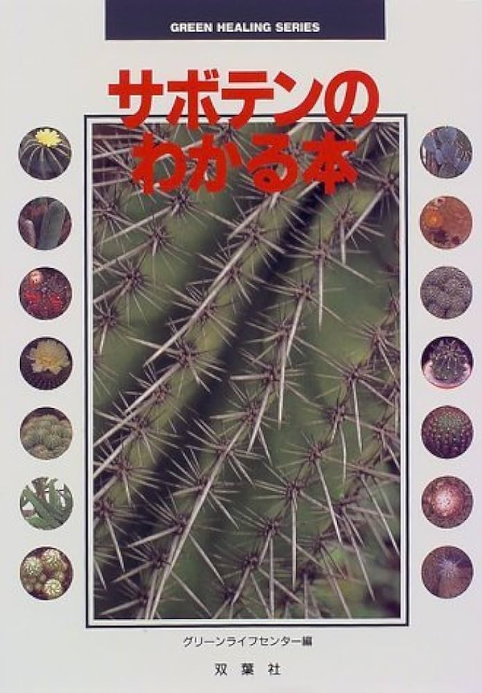 サボテンページ サボテン チューレンセPP60087| 観葉植物の通信販売 | APEGO