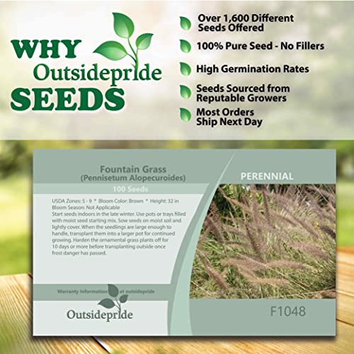 Outsidepride Perennial Pennisetum Alopecuroides Ornamental Fountain Grass - 100 Seeds #TOP2