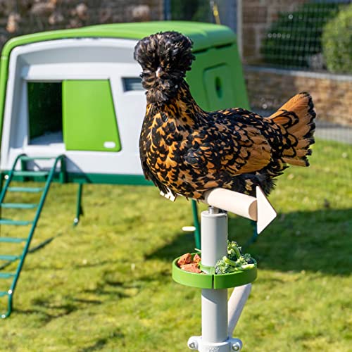 Image of Freestanding Chicken Perch | Sturdy Wooden Universal Roosting System | Exercise, Train and Treat Your Chickens! | Place Anywhere in Your Yard | Poultry Playground Kit