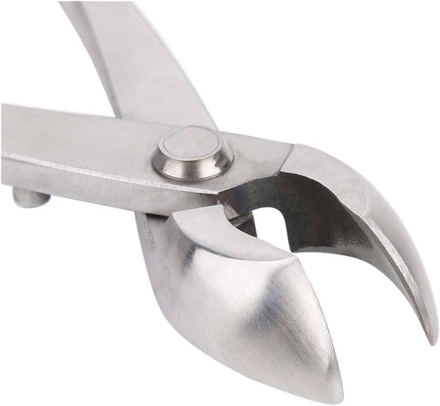 RAHBI Multifunctional Stainless Steel Branch Cutter Garden Pruning Shear Scissors Bonsai Tools Bonsai Cutter Gardening Access Leisurely