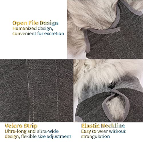 CGLRybO Katzenbody Nach Op Kastration Haustier-medizinisches chirurgisches Hemd Operationsgenesungsanzüge für Katzen (Stil:Grau, L)