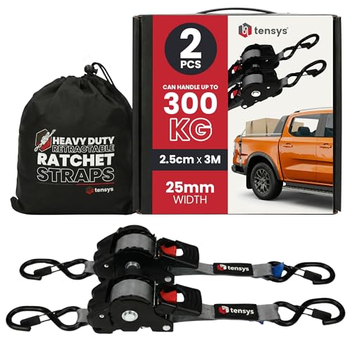 Auto Retract Ratchet Straps Heavy Duty – 300kg Max Break Capacity Self Retracting Tie Down Strap Set with Hooks Cushioned Grips for Cargo Trailer Motorcycle Luggage, Grey, 2 Pack, 2.5mm x 3m