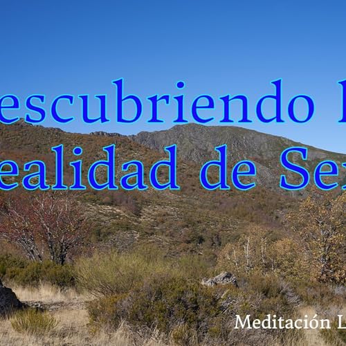 Descubriendo la realidad de Ser