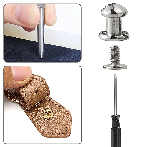 YORANYO 75 Sets 8MM Round Head Button Stud for Leather Chicago Screws Spikes and Stud Leather Rivets Screws Button Rivets for Repair and Decorate Clothing Shoes Belts Bags Dog Collars (Mixed in Box)