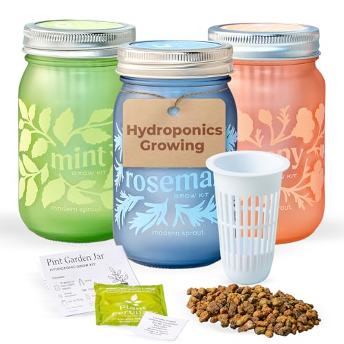 Modern Sprout Mason Garden Jar - Self-Watering Hydroponics Growing System Kit with Organic Herb Seeds - Jar Planter for Indoor Herb Garden - Seed Starter Kit -Home Decor & Gifting -Mint+Rosemary+Poppy