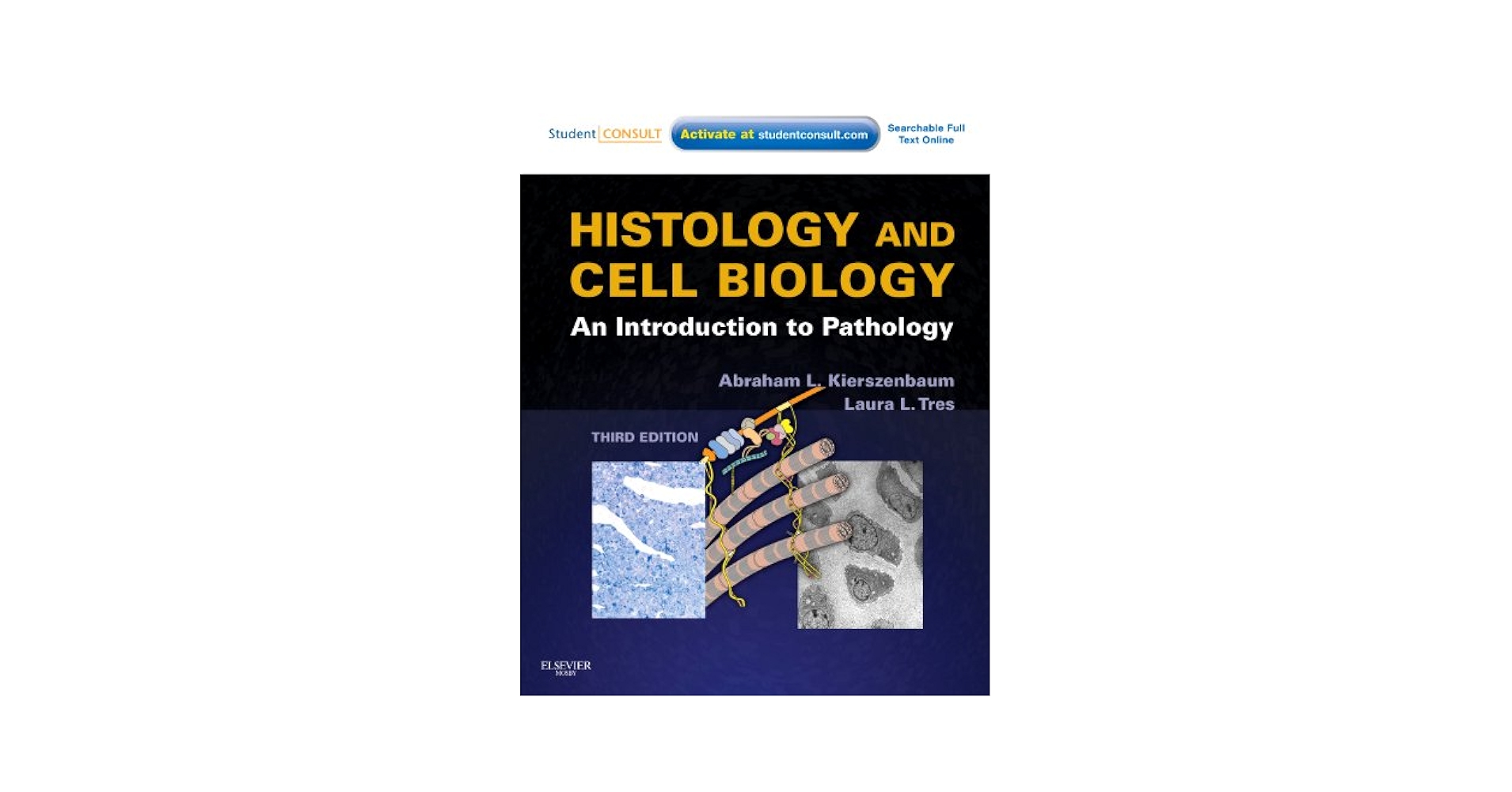 Histology and Cell Biology: An Introduction to Pathology