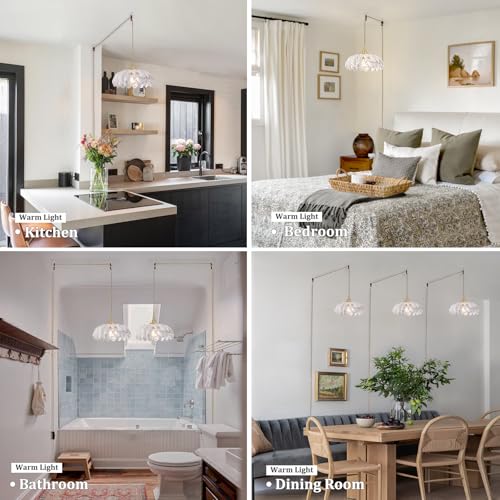 Image of Shenmoyl Plug in Pendant Light Hanging Light Fixtures with Plugin Cord On /Off Switch,Clear Scindapsus Glass Lampshade Brass Pendant Light