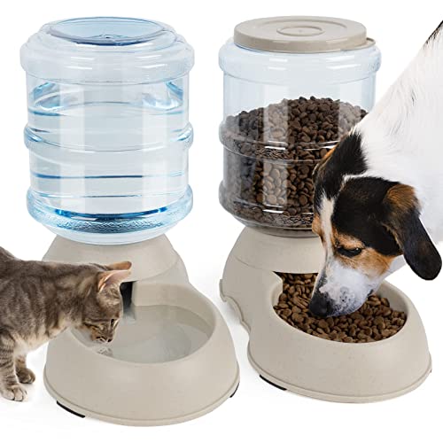5 Best Gravity Cat Feeders for HassleFree Feeding