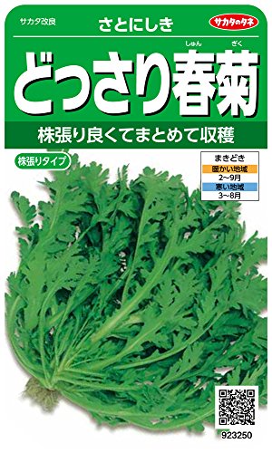 春菊の育て方 | 植物ノート