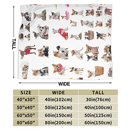 Couverture microfibre chaude et légère pour lit lavable et ultra douce - 4