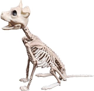 Halloween Decoration Dog Skeleton 2022