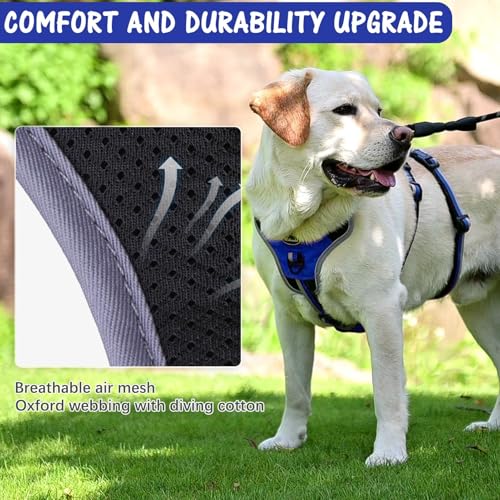 Image of Mihachi Medium Blue Dog Harness - Escape Proof, No Pull, Reflective, Adjustable, Modern Style with Handle and D-Ring for Walking, Hiking, Training and Running