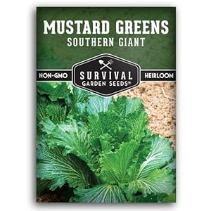 Southern Giant Mustard Green Seeds ...