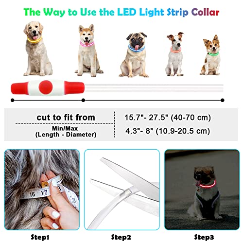 AUAUY LED Light Up Dog Collar - Image 3