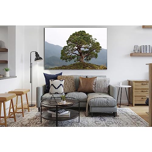 Cuadro de árbol bonsái ZELLART WTD SL509 en lienzo de 60x40 cm listo para colgar