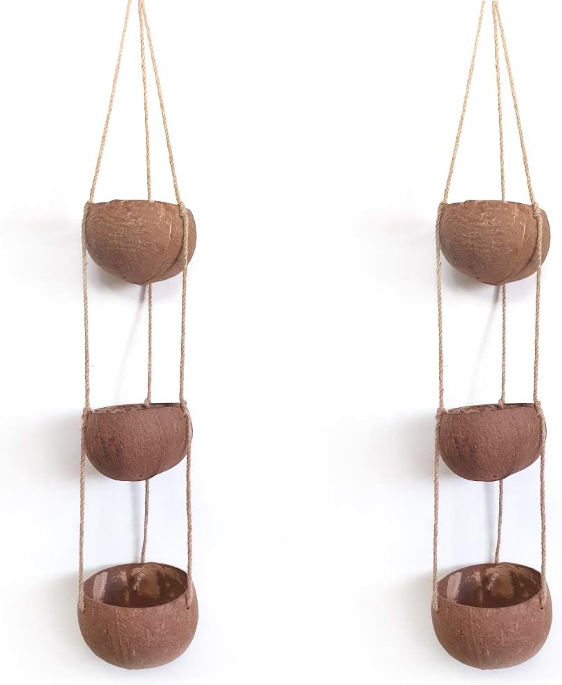 Rainforest Bowls Set of 2 3-Tier Hanging Coconut Planters w/Drainage - Perfect for Succulents, Flowers, Small Plants, Indoor & Outdoor Gardens- Handcarved by Artisans, Eco-Friendly & Sustainable