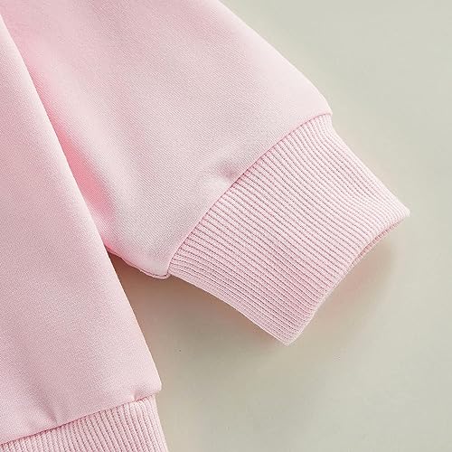 Image of Baby Boy Girl Pumpkin Sweatshirt Tops Toddler Halloween Outfit Long Sleeve Crewneck Pullover Sweater Shirt Fall Clothes